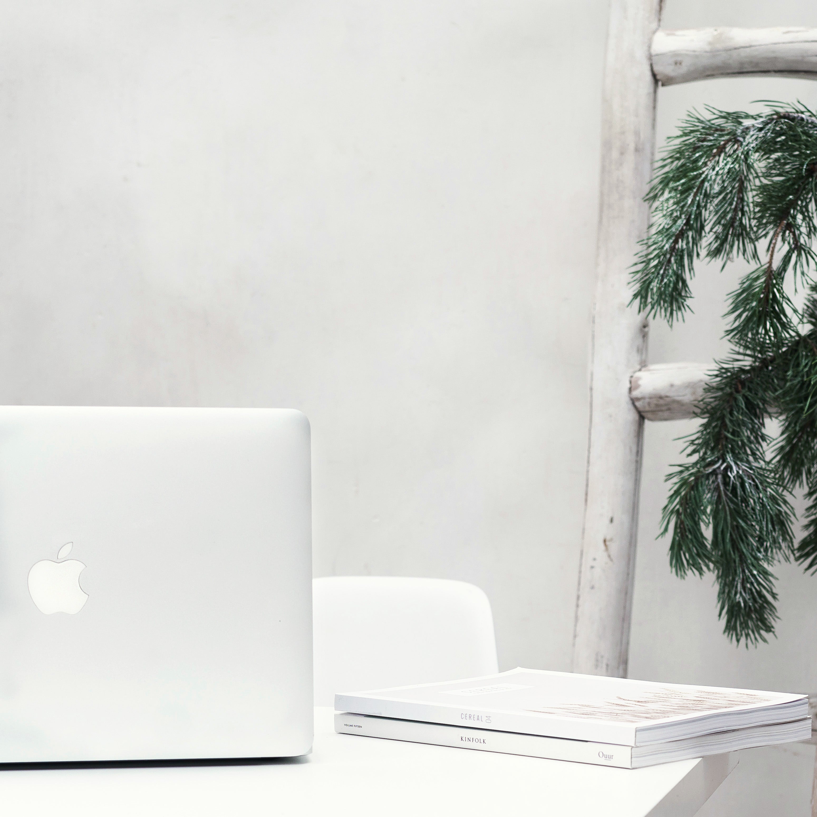 In Case You Missed It: December