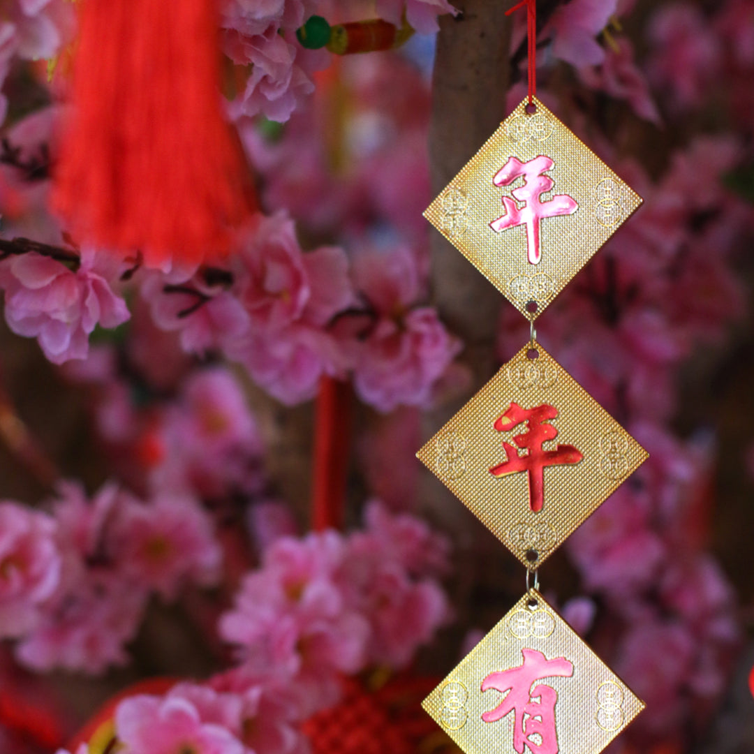 What Does This Lunar New Year Mean For You?