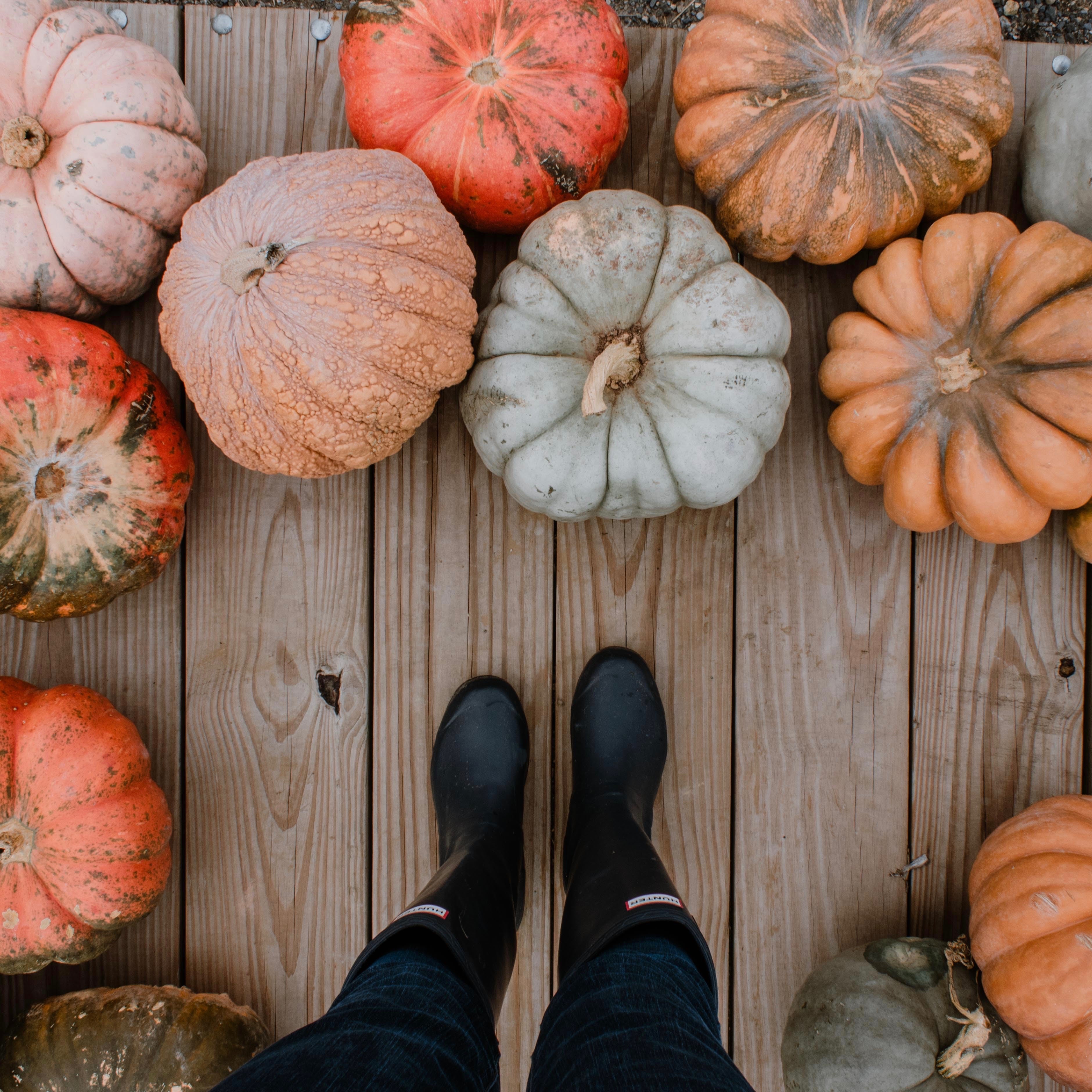 IN CASE YOU MISSED IT: OCTOBER · HALLOWEEN EDITION