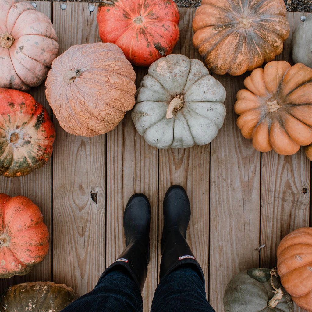 IN CASE YOU MISSED IT: OCTOBER · HALLOWEEN EDITION