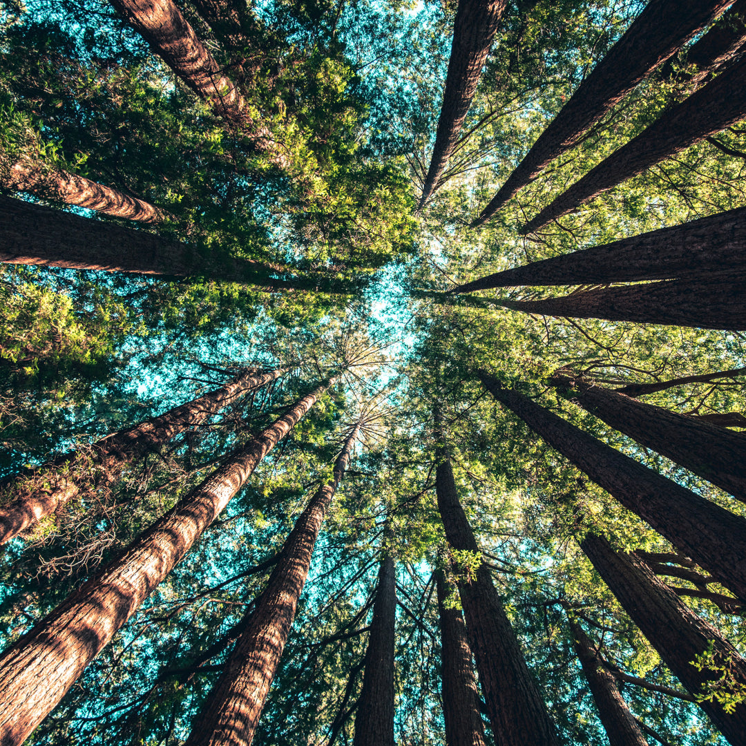 Our Annual Sustainability Report