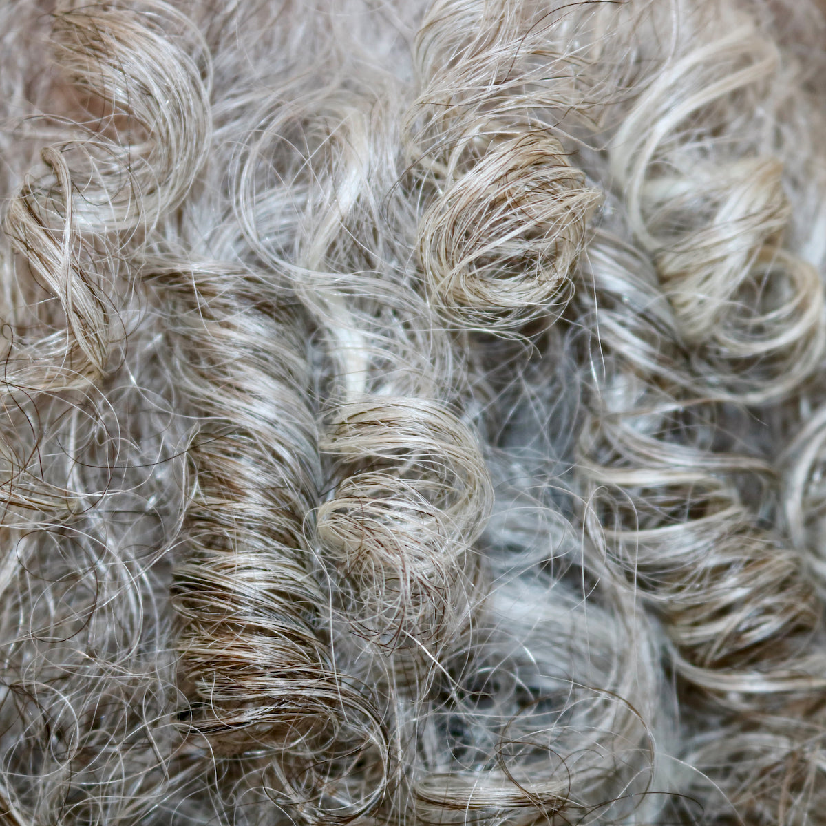 EVOLVh  Delilah's Perfect Curls Bundle